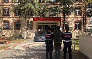 Bilecik’te dolandırıcılık yapan 1 kişi tutuklandı