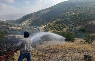 Bingöl’de çıkan örtü yangını söndürüldü