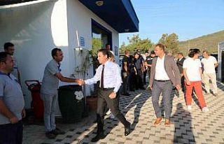 Bodrum Belediyesi’nden sokak hayvanları için mama...