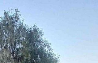 Bodrum’da araç yagnını