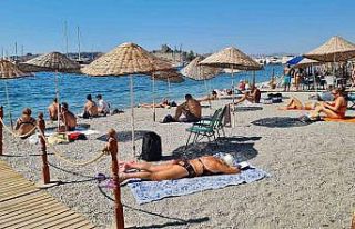 Bodrum’da sarı yaz keyfi
