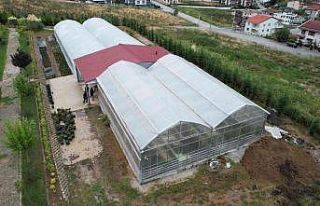 Bu lisenin süs bitkisinden kazancı dudak uçuklatıyor