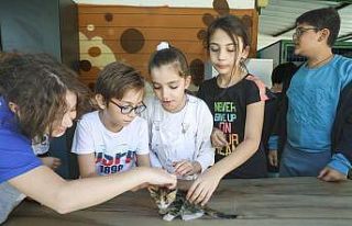Bucalı miniklere hayvan sevgisi aşıladılar