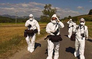 Bulgaristan’da 19 bin tavuk kuş gribi nedeniyle...