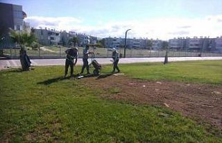 Burhaniye Belediyesi bakım ve onarım çalışmalarına...