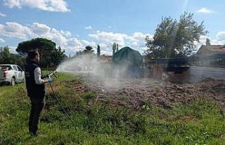 Burhaniye’de Kışlak Mücadelesi başladı