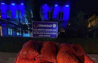 Bursa’da 3 tonluk ceviz dolandırıcılığı