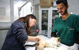 Bursa’da tedavi gören can dostlara ‘Koruyucu...