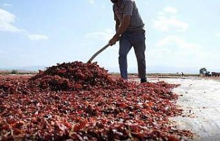 Bursa’nın toz biberi dünya mutfağında