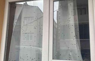 Büyükçekmece’de polisi harekete geçiren ‘sinekli...