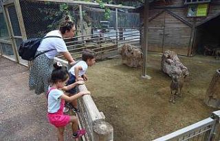 Büyükşehir Belediyesi Hayvanat Bahçesini 500 bin...