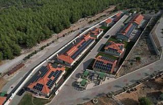 Büyükşehir can dostların enerjisini güneşten...