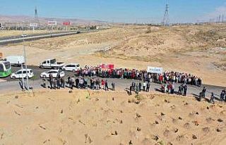 Büyükşehir’den şehitler anısına 251 fidan