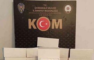 Çanakkale’de kaçak sigara operasyonuna 2 gözaltı