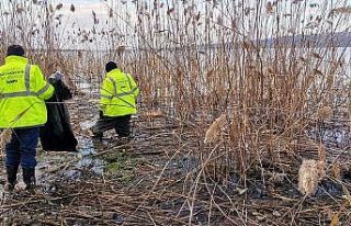 Çark Deresi’nde hummalı temizlik