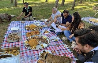 Çekmeköy’de yavru aslan ve ayıya şark sofrası...