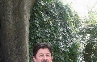 Ceviz toplamak için çıktığı ağaçtan düşerek...