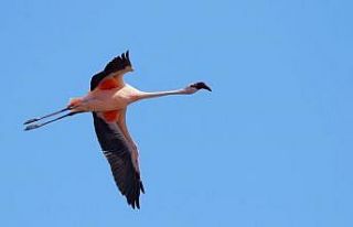 Çevre, Şehircilik ve İklim Değişikliği Bakanı...