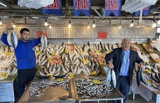 Denizlerde palamut bolluğu devam ediyor