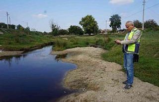 Derenin rengi paniğe sebep oldu, inceleme başlatıldı