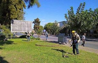 Didim Belediyesi çalışmalarını sürdürüyor