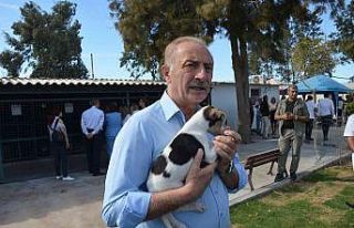 Didim Belediyesi’nden sokak hayvanlarına yönelik...