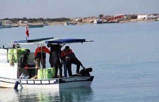 Didim’de arkadaş cinayetinde karar çıktı