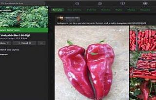 Diyarbakır merkezli 3 ilde “Kabzımal” operasyonu:...