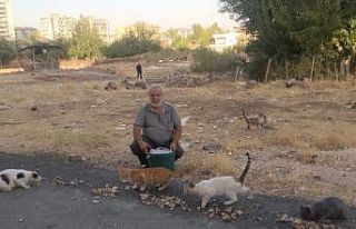 Diyarbakır’ın Derman Baba’sı sokak hayvanlarını...