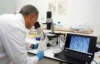 DMD kas hastalarını umutlandıran araştırma: Alınacak...