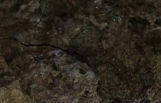 Doğa tutkunları gece yürüyüşünde 10 kilometreyi...