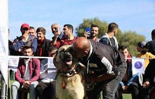 Doğu Karadeniz’in ilk Türk Çoban, Av ve Bekçi...