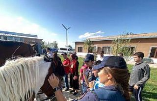 Down Sendromlu çocukların at sevgisi