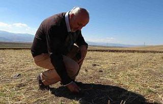 Dr. Dölek, Muş’un 2012’den 2050 yılına uzanan...