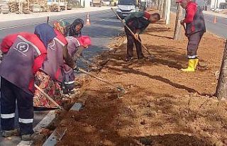 Düzce’yi kadınlar güzelleştiriyor