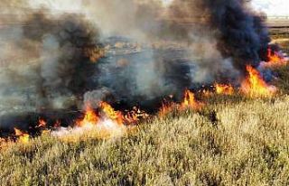 Eber Gölü’nde çıkan yangın 6 saatte söndürüldü