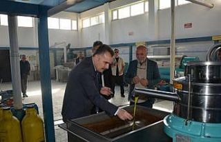 Edremit’te zeytinin, zeytinyağına yolculuğu başladı