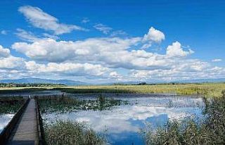 Efteni Gölü, sonbaharda doğaseverleri mest ediyor