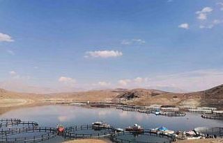 Ekinözü, kafes balıkçılığında adını duyuracak