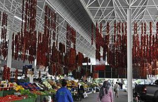 Ekmeğini acıdan çıkartıyor