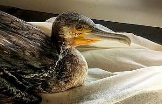 EKODOSD’tan balıkçılara “olta iğnesi” uyarısı