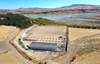 Elazığ Belediyesi’nden jeotermal sera yatırımı