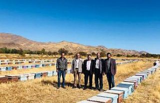 Elazığ’da arılı kovan denetimleri sürüyor