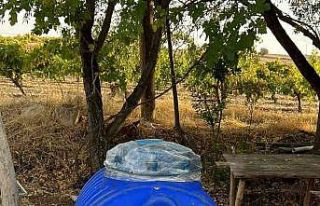 Elazığ’da bin litre kaçak şarap ele geçirildi