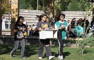 Elazığ’da sokak hayvanları için ev yapıldı