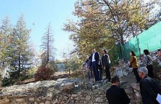 Emet’te tüm kurumlar tek bir çatı altında toplanacak