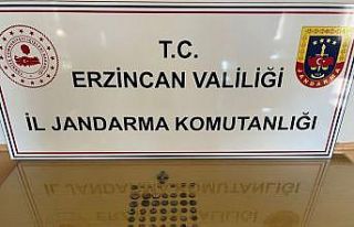 Erzincan’da 85 tarihi eser ve sikke ele geçirildi
