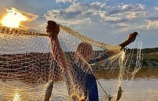 Erzincan’da doğal Alabalık avcılığı yasaklandı