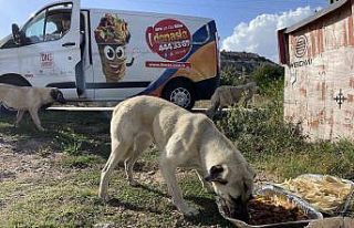 Eskişehirli firmadan sokak hayvanlarına özel gün...
