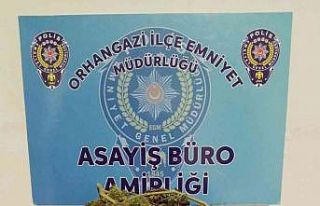 Evinde uyuşturucu bulunan kadın gözaltına alındı